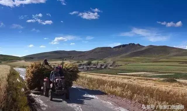 张北草原天路现在的景色,张家口张北草原天路攻略