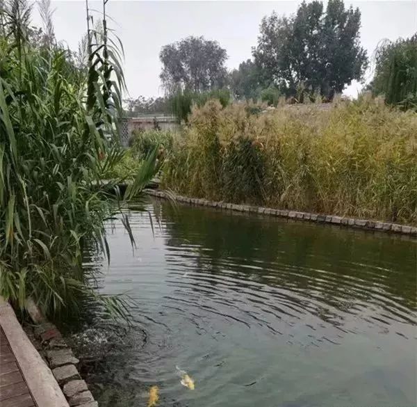 老北京一条古街,老北京一条百年胡同