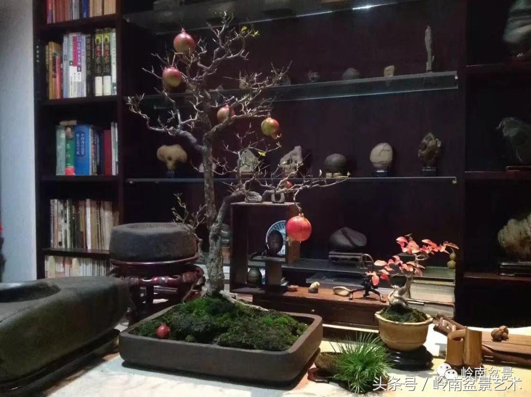 过年送礼好不好,过年送礼单数还是双数好