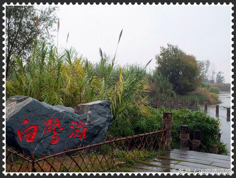 邛海公园旅游攻略,邛海旅游攻略酒村