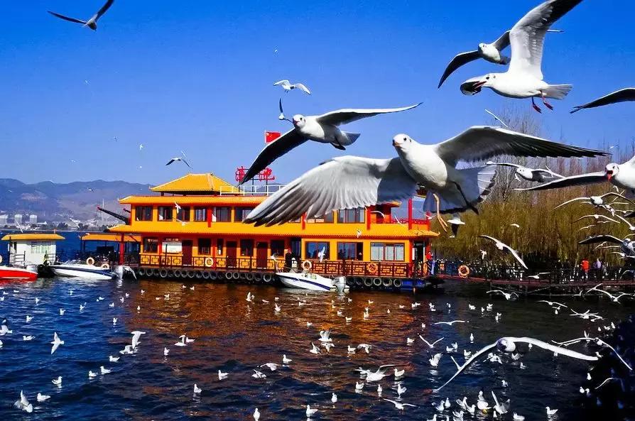 武汉到深圳的特价机票12月份,六月武汉出发最便宜的飞机票