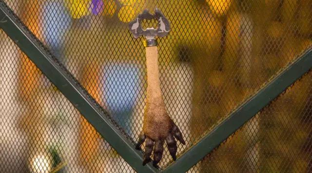 袋鼠蹄子开瓶器|永不退缩的精神