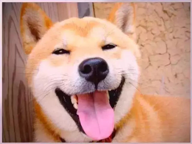 鏂版槬浣宠妭鍒板勾鍛虫棩娓愭祿,鏄ヨ妭鍒板枩姘旀磱娲嬭繋鏂板勾