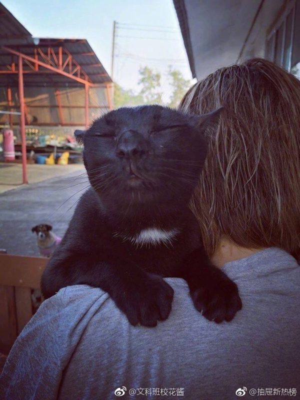 求生的意志力,冰淇淋求生秘籍