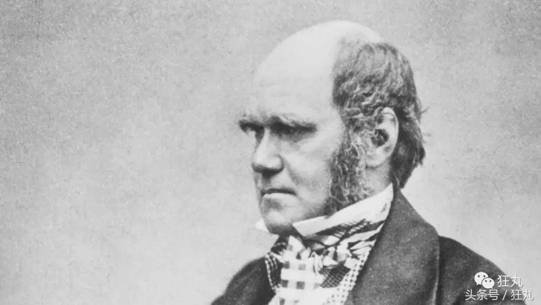 日本研究秃顶,日本教授秃头研究