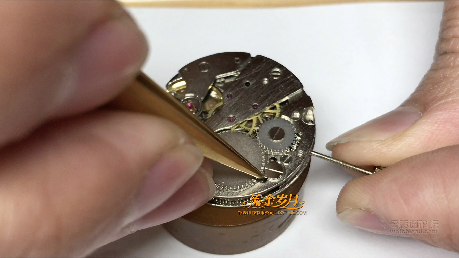 浪琴修表的经历,浪琴表如何保养和维修