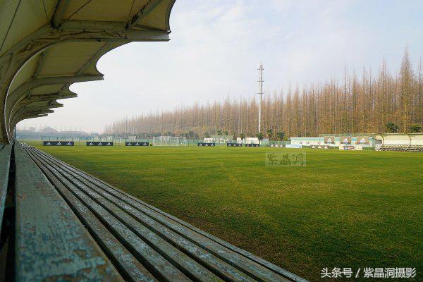 武磊身价能涨到2000万欧吗,武磊最新身价达2000万欧