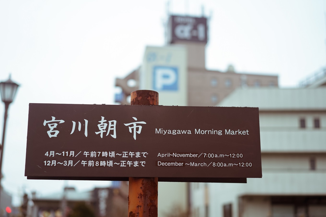 handycam,handycam亲子游