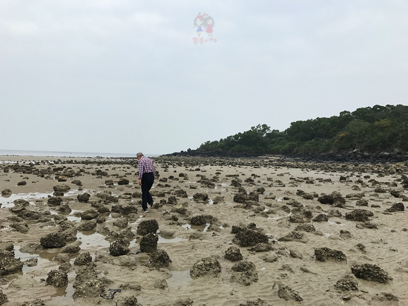 火山石晒盐，活珊瑚与苏东坡的晚年——我在海南画了一个圈儿,6