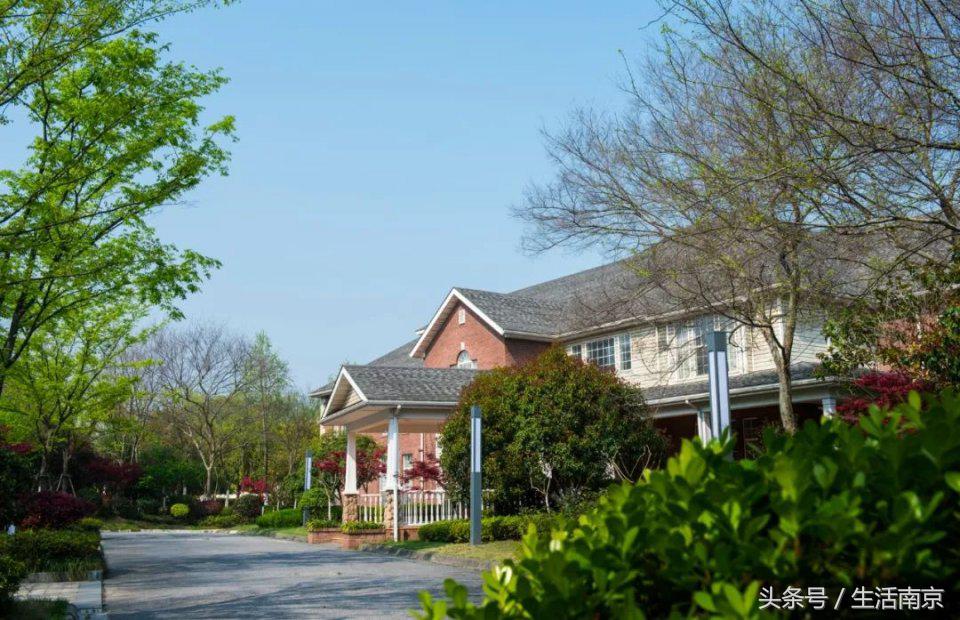 南京超豪华的五星级套房,南京卧室奢华高档