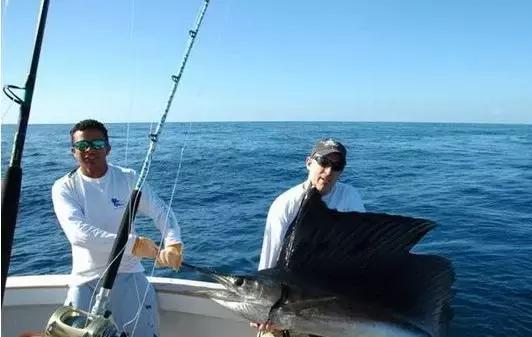 帕劳旅游攻略小册子,帕劳旅游攻略大全集