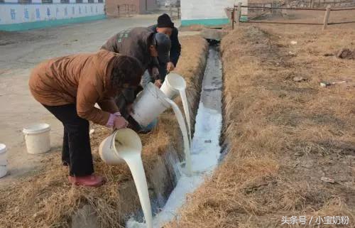 鐧借姳鑺辩殑鐗涘ザ鍊掓帀,鐧借姳鑺辩殑鐗涘ザ