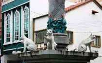 萌爆啦!爱猫君的朝圣之地!吃喝玩乐尽在古晋猫城