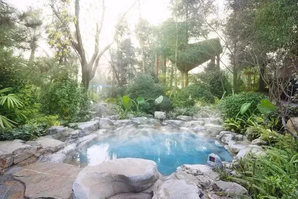 春的温暖，“泉”都给你！南岸又添一高格调温泉，是时候泡一泡了