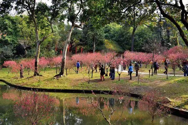 广州旅游景点推荐团购,春节广州有哪些好玩的景点推荐