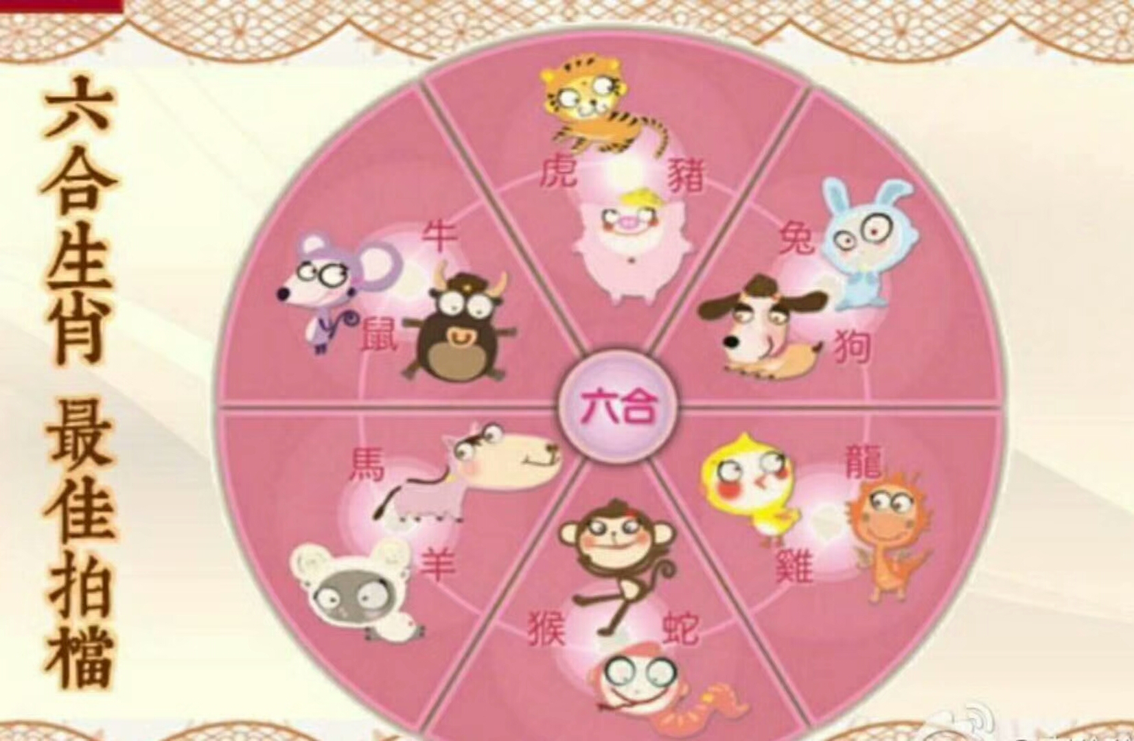 属马人婚姻和感情运势如何,生肖马的姻缘与婚姻