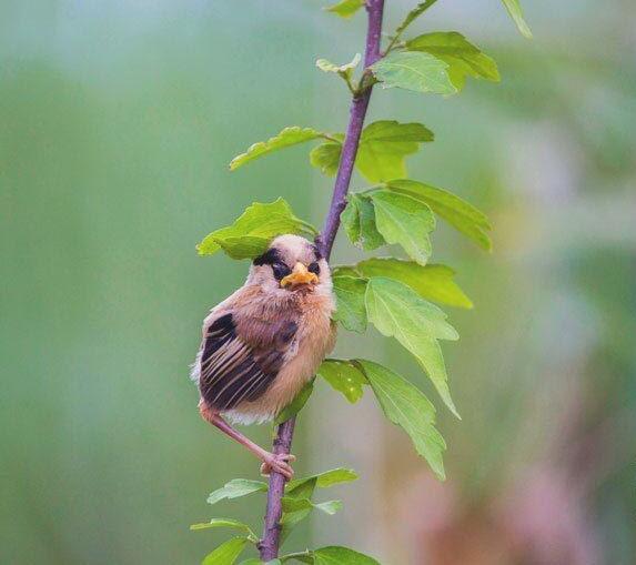 没有科学依据的问题,没有科学证实的东西