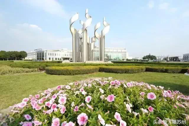 大局已定完整视频,大局已定未来可期