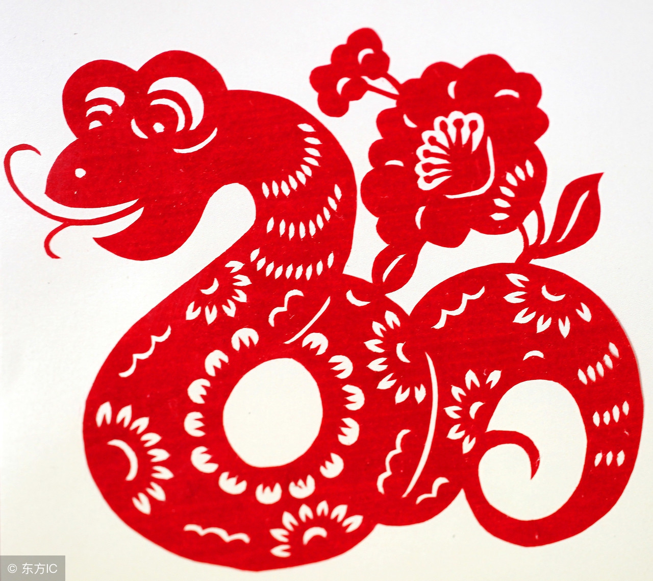 十二生肖有哪些大开眼界的经历,十二生肖中实话实说的生肖