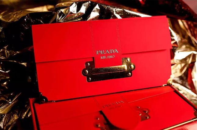 狗年限定,哪家的狗最吸引小仙女注意?万里挑一丨品臻