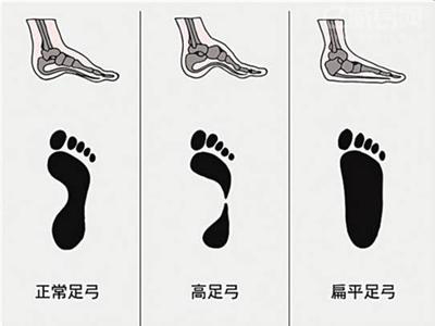 健身装备鞋,高端健身运动鞋品牌