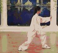 太极二十四式入门基本动作,太极入门学24式吗