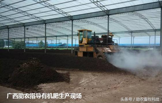 中型有机肥生产线设备厂家直销,小型有机肥生产线需要多少钱