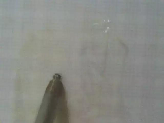 瓷砖上打孔怎么打不容易坏,瓷砖上打孔怎么打