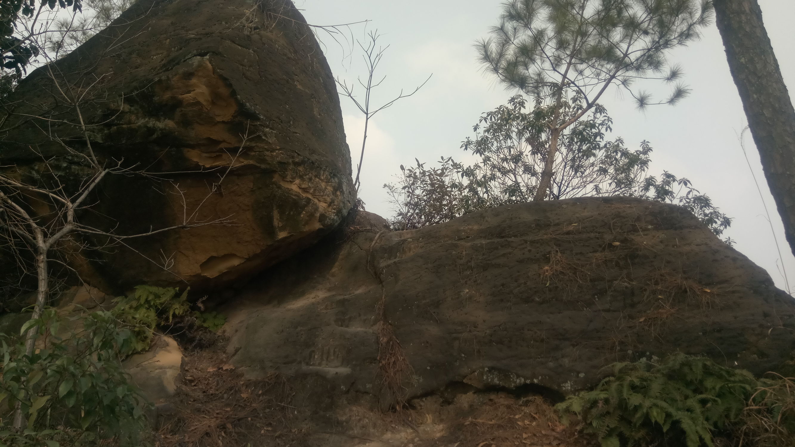 纯天然氧吧是锻炼的好地方,天然氧吧骑行好去处
