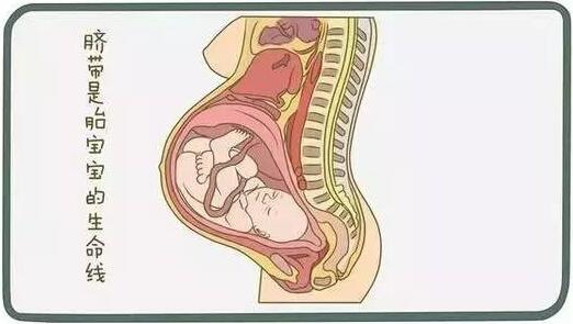 刚刚做完四维又要做三维,刚做完四维彩超为什么会出点血