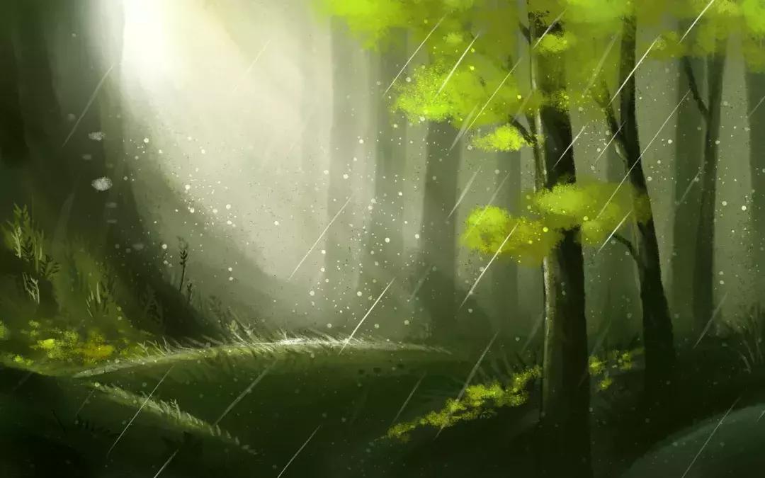 春雨绵绵诗情画意,诗词中的春雨满满诗情画意