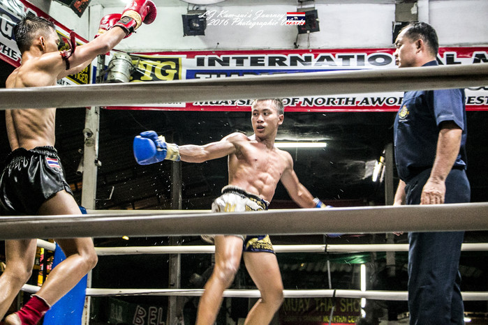 清迈佛寺之城等你采撷的泰北玫瑰,清迈环球旅行家