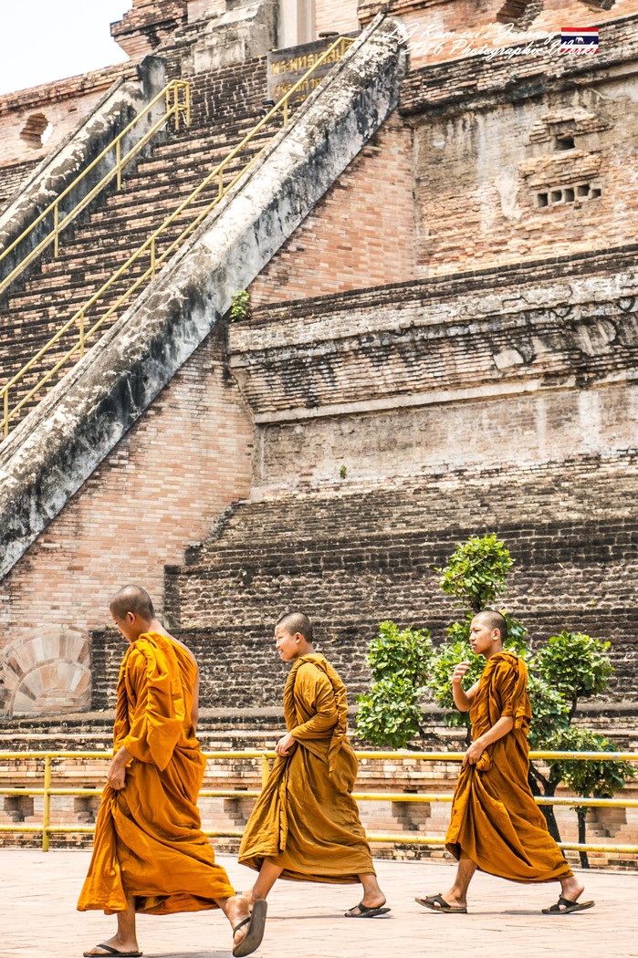清迈佛寺之城等你采撷的泰北玫瑰,清迈环球旅行家