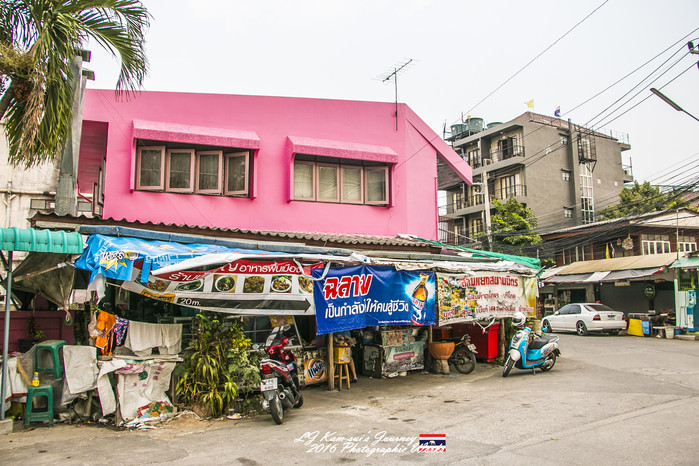 清迈佛寺之城等你采撷的泰北玫瑰,清迈环球旅行家