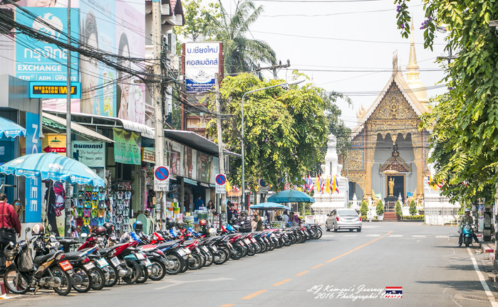 清迈佛寺之城等你采撷的泰北玫瑰,清迈环球旅行家