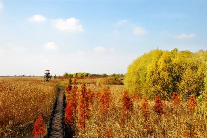 土著带你逛古村,土著带你逛北京