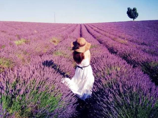 沈绍功：女性养生要义