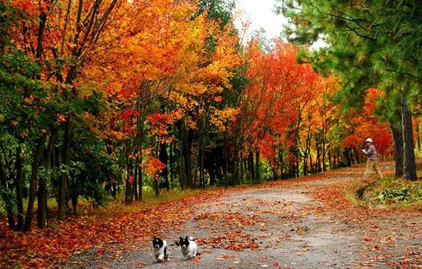 黔南旅游攻略自由行攻略,黔南5条精品旅游线路