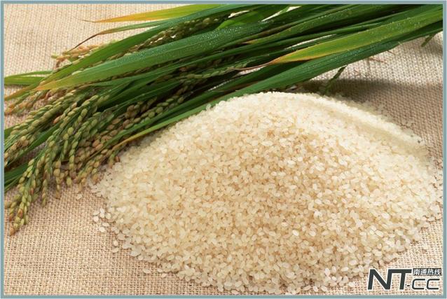 以后，请叫如皋白蒲——“味稻小镇”