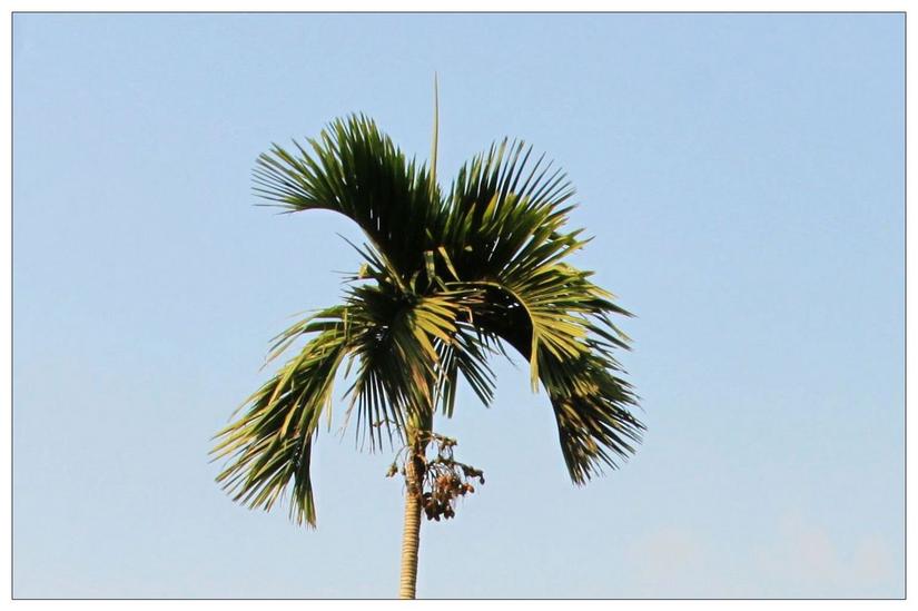 海南三亚槟榔谷的美景,三亚槟榔谷游记