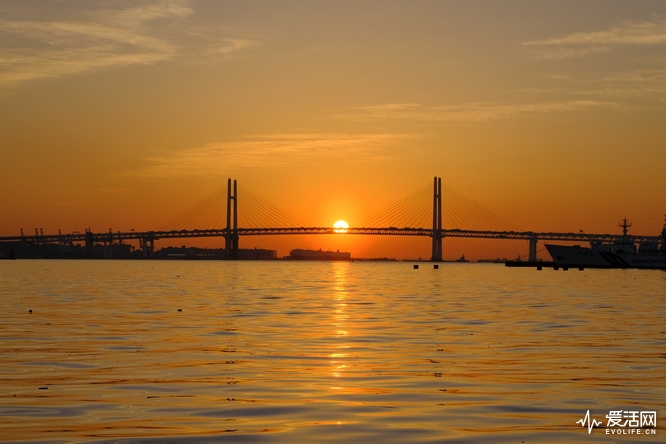 富士x-h1和xt200哪个好,富士x-h1值得购买吗