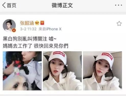 范玮琪陈建州闹受害者发布会,陈建州范玮琪张韶涵