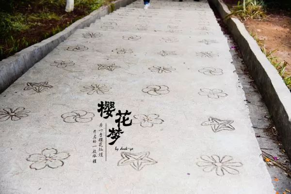 樱花梦日语,永福樱花之旅