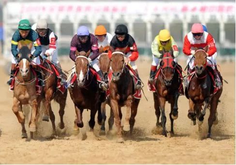 湖北荆州最近发生的大事,湖北最近大事