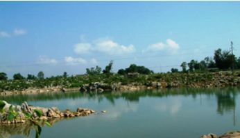 南宁免费一日游的景点大全,南宁45个景区