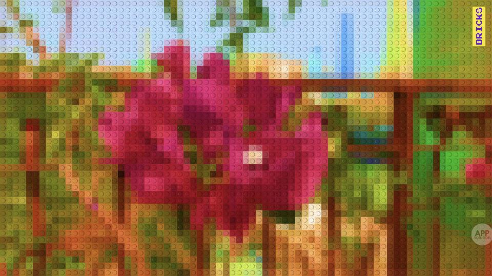 把我的世界拍成电影,把你的世界变成别人的世界