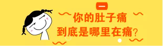 肚子的科普视频,科普人体肚子