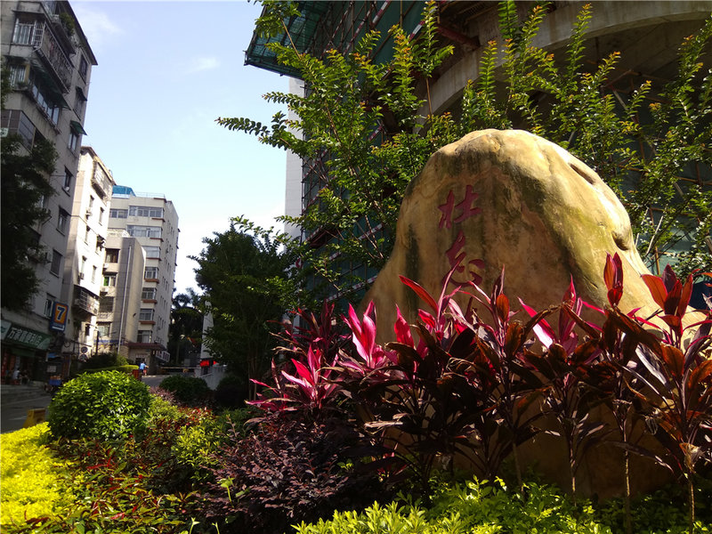 小米max2拍照评测视频,小米标准版和max区别