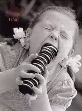 700年前的陶盘，猫认证