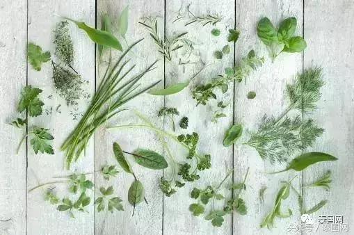 泰国菜东南亚菜料理第一名,泰国菜健康吗